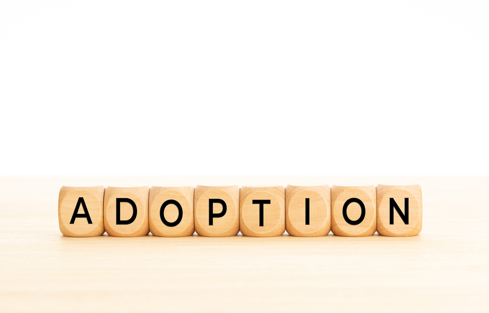 adoption-a-dubai-famille.jpg