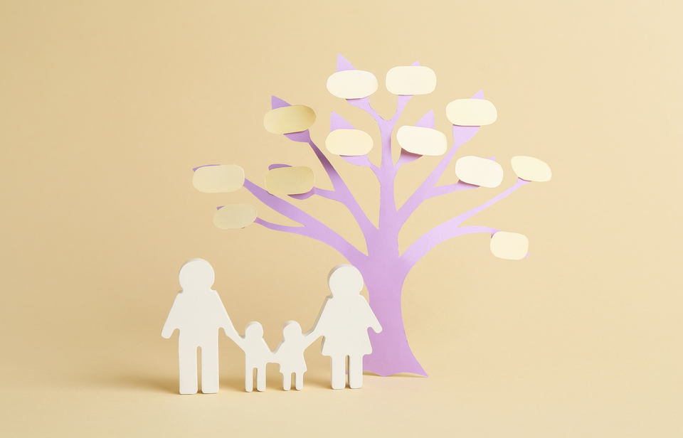 familles-recomposées-succession-conflits-successoraux.jpg