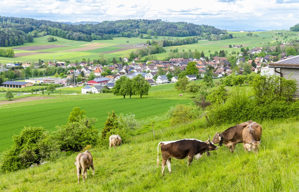 droit-rural.jpg